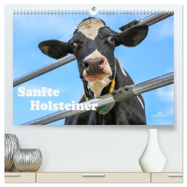 Sanfte Holsteiner (hochwertiger Premium Wandkalender 2027 DIN A2 quer) Kunstdruck in Hochglanz