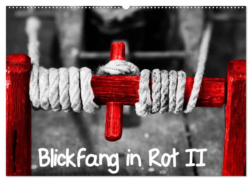 Blickfang in Rot (Wandkalender 2027 DIN A2 quer) CALVENDO Monatskalender
