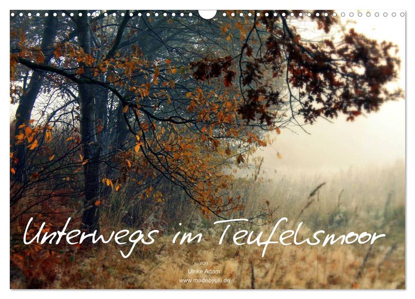 Unterwegs im Teufelsmoor (Wandkalender 2027 DIN A3 quer) CALVENDO Monatskalender