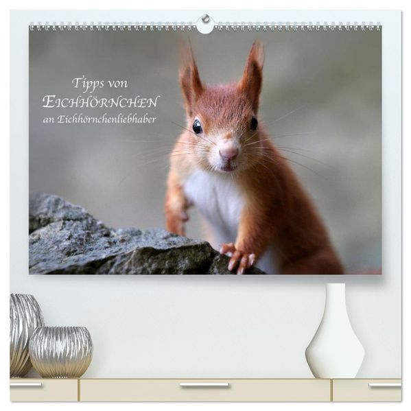 Tipps von Eichhörnchen an Eichhörnchenliebhaber (hochwertiger Premium Wandkalender 2027 DIN A2 quer) Kunstdruck in Hochglanz