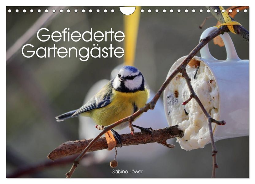Gefiederte Gartengäste (Wandkalender 2027 DIN A4 quer) CALVENDO Monatskalender
