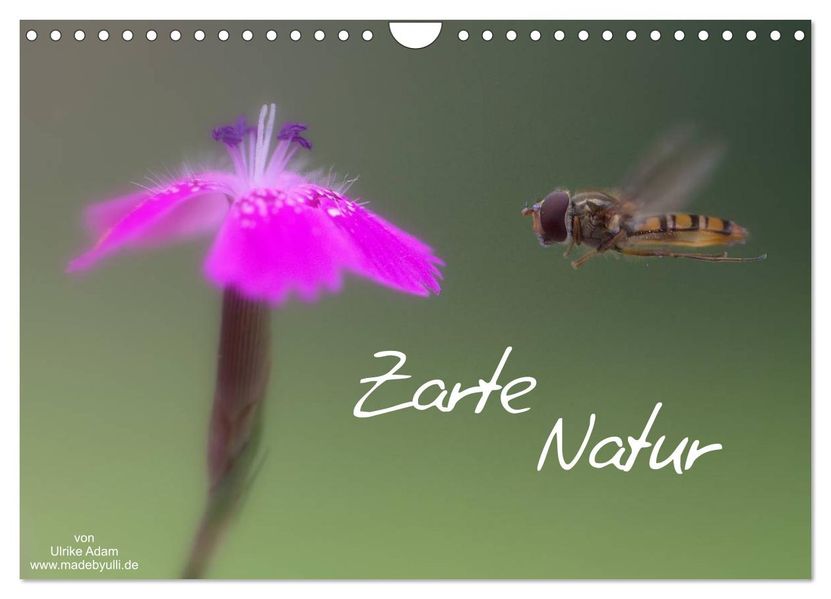 Zarte Natur 2027 (Wandkalender 2027 DIN A4 quer) CALVENDO Monatskalender