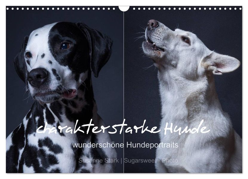 charakterstarke Hunde wunderschöne Hundeportraits (Wandkalender 2027 DIN A3 quer) CALVENDO Monatskalender