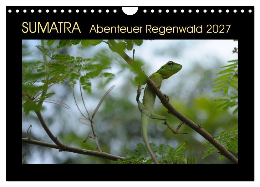 SUMATRA Abenteuer Regenwald (Wandkalender 2027 DIN A4 quer) CALVENDO Monatskalender