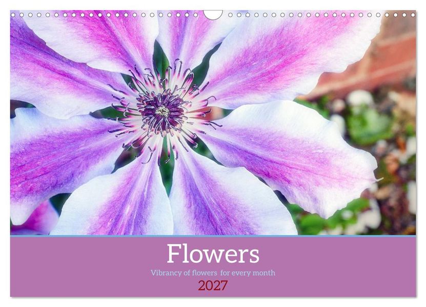 Vibrancy of flowers (Wall Calendar 2027 DIN A3 landscape) CALVENDO 12 Month Wall Calendar