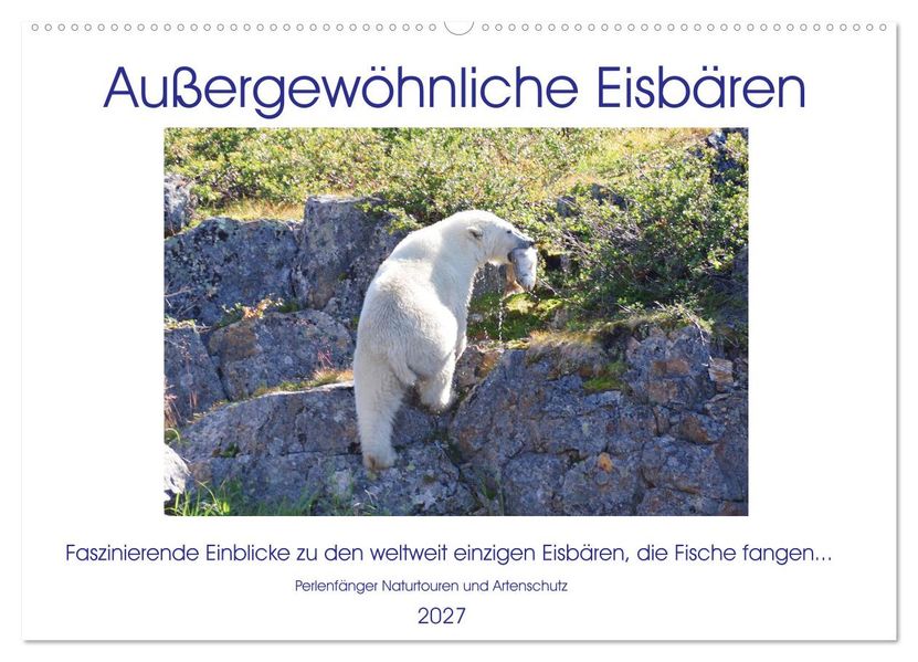 Das Leben der etwas 'anderen' Eisbären! (Wandkalender 2027 DIN A2 quer) CALVENDO Monatskalender