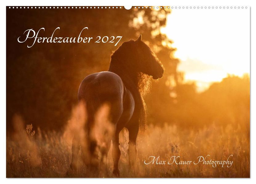 Pferdezauber 2027 (Wandkalender 2027 DIN A2 quer) CALVENDO Monatskalender