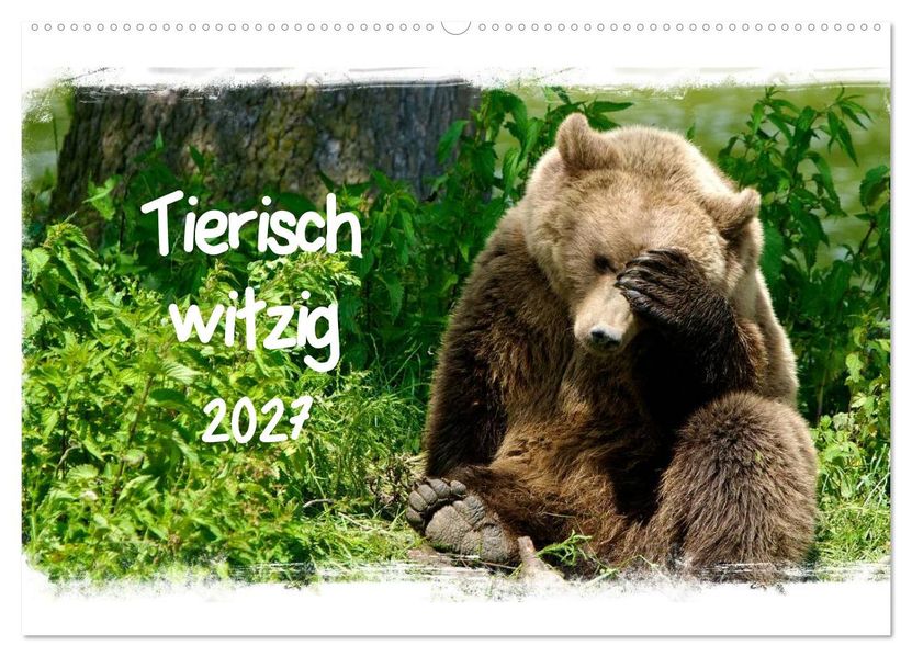 Tierisch witzig (Wandkalender 2027 DIN A2 quer) CALVENDO Monatskalender