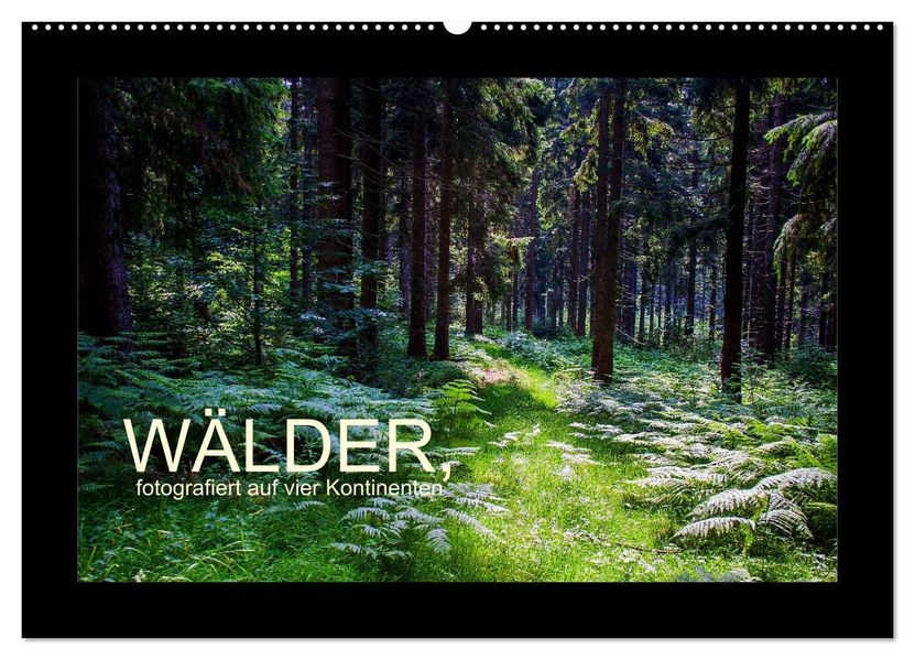 Wälder fotografiert auf vier Kontinenten (Wandkalender 2027 DIN A2 quer) CALVENDO Monatskalender