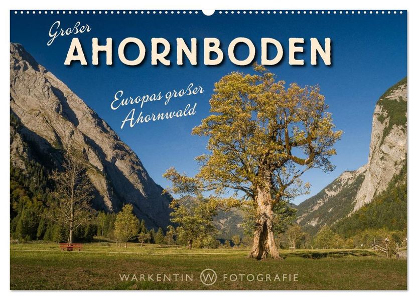 Großer Ahornboden - Europas großer Ahornwald (Wandkalender 2027 DIN A2 quer) CALVENDO Monatskalender
