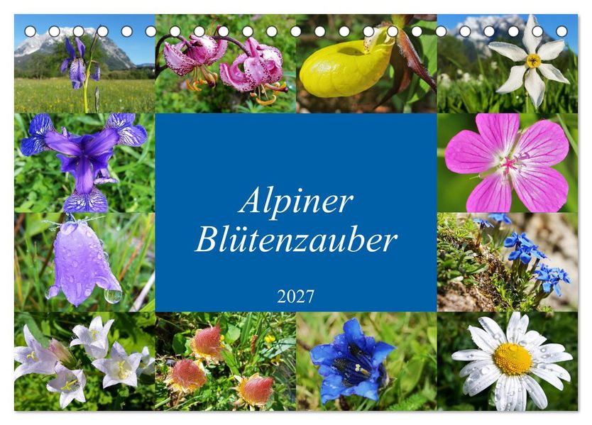 Alpiner Blütenzauber (Tischkalender 2027 DIN A5 quer) CALVENDO Monatskalender