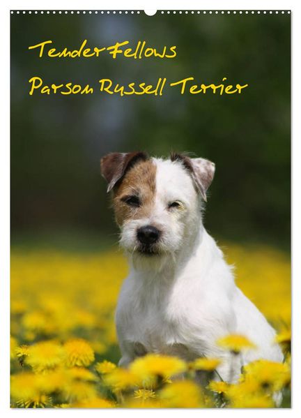 Tender Fellows - Parson Russell Terrier (Wandkalender 2027 DIN A2 hoch) CALVENDO Monatskalender
