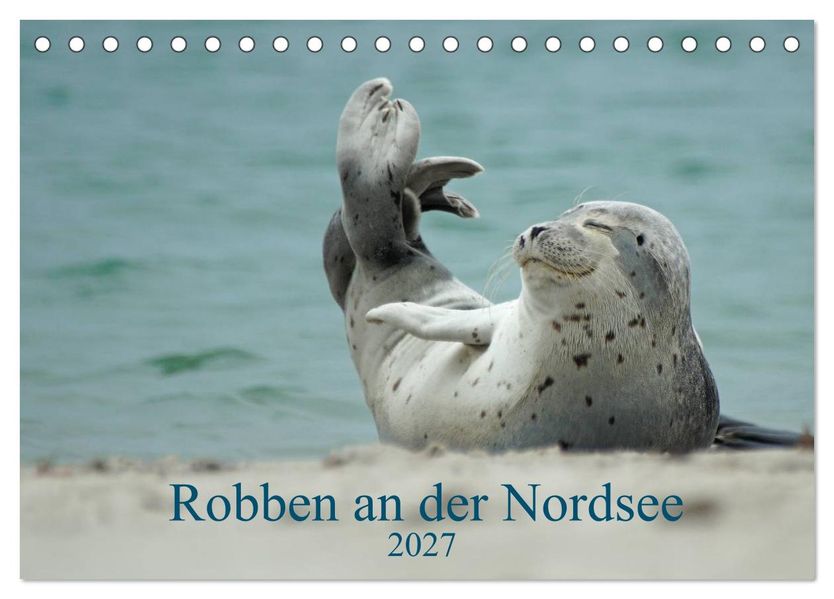 Robben an der Nordsee (Tischkalender 2027 DIN A5 quer) CALVENDO Monatskalender