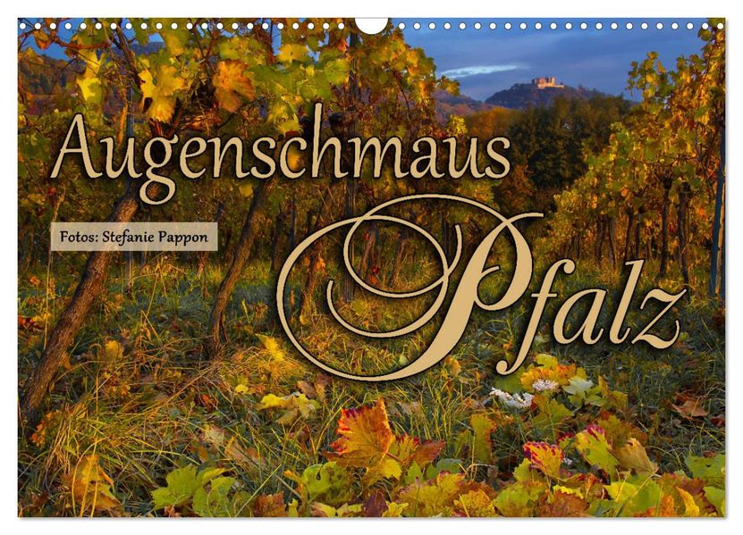 Augenschmaus Pfalz (Wandkalender 2027 DIN A3 quer) CALVENDO Monatskalender