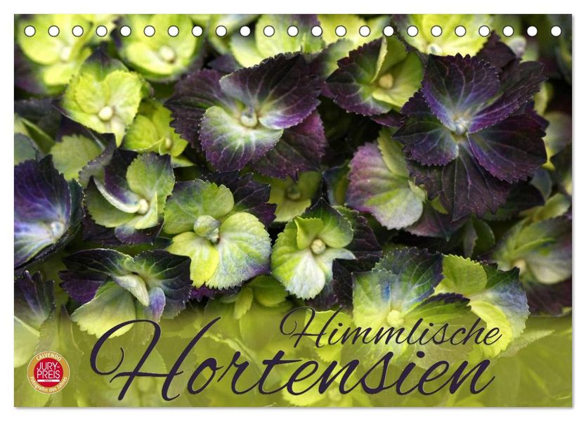 Himmlische Hortensien (Tischkalender 2027 DIN A5 quer) CALVENDO Monatskalender