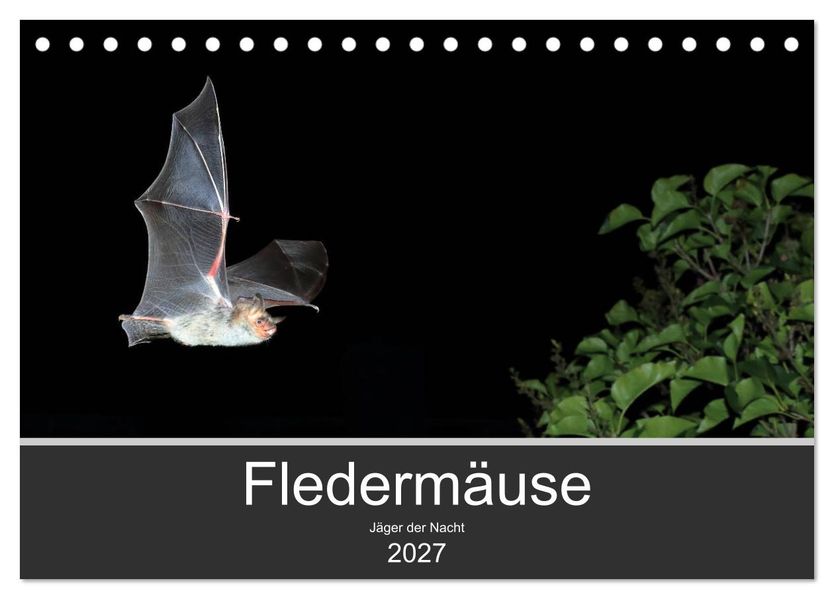 Fledermäuse - Jäger der Nacht (Tischkalender 2027 DIN A5 quer) CALVENDO Monatskalender