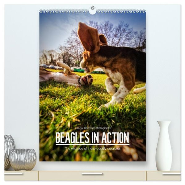 Beagles in action (High Quality Premium Wall Calendar 2027 DIN A2 portrait)CALVENDO 12 Month Wall Calendar