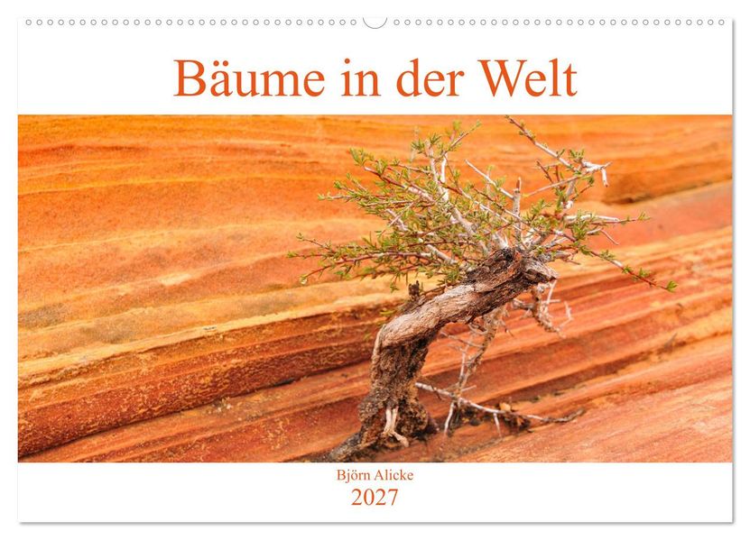 Bäume in der Welt (Wandkalender 2027 DIN A2 quer) CALVENDO Monatskalender