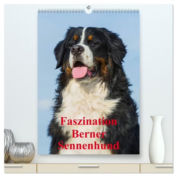 Faszination Berner Sennenhund (hochwertiger Premium Wandkalender 2027 DIN A2 hoch) Kunstdruck in Hochglanz
