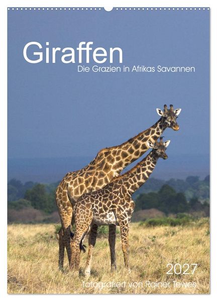 Giraffen - Die Grazien in Afrikas Savannen (Wandkalender 2027 DIN A2 hoch) CALVENDO Monatskalender