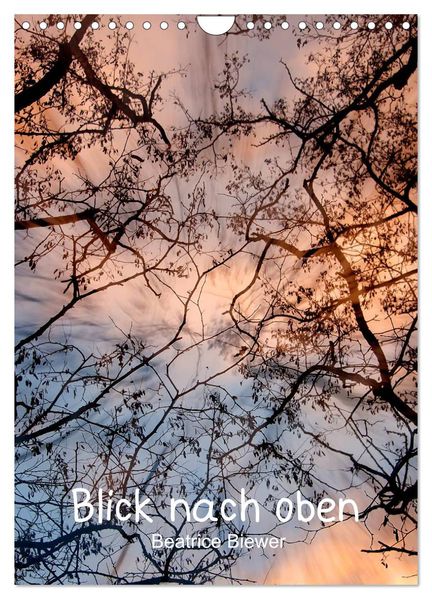 Blick nach oben (Wandkalender 2027 DIN A4 hoch) CALVENDO Monatskalender
