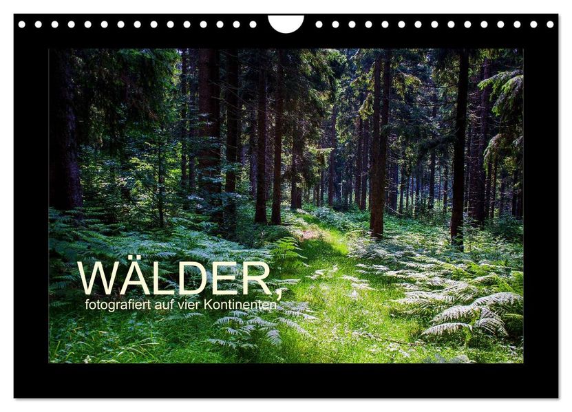 Wälder fotografiert auf vier Kontinenten (Wandkalender 2027 DIN A4 quer) CALVENDO Monatskalender