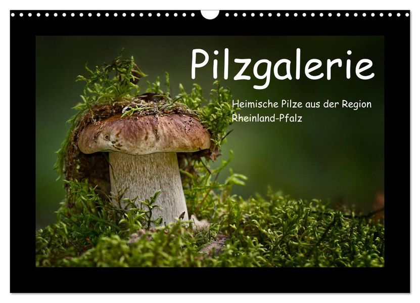 Pilzgalerie - Heimische Pilze aus der Region Rheinland-Pfalz (Wandkalender 2027 DIN A3 quer) CALVENDO Monatskalender