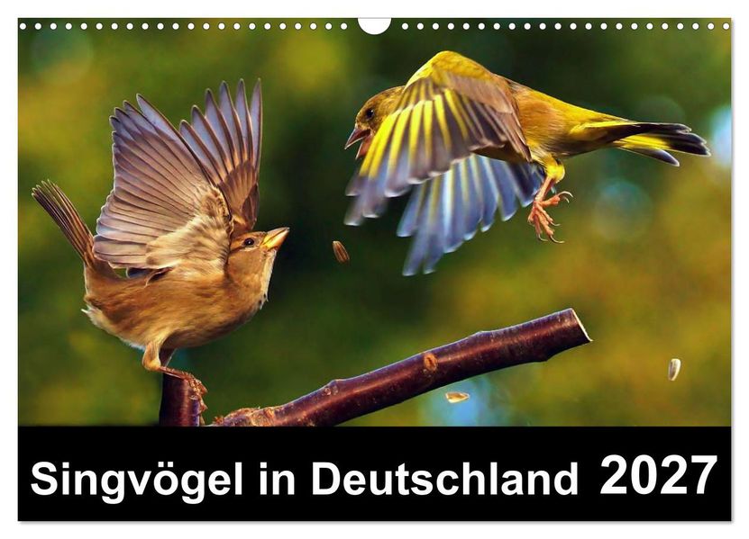 Singvögel in Deutschland (Wandkalender 2027 DIN A3 quer) CALVENDO Monatskalender