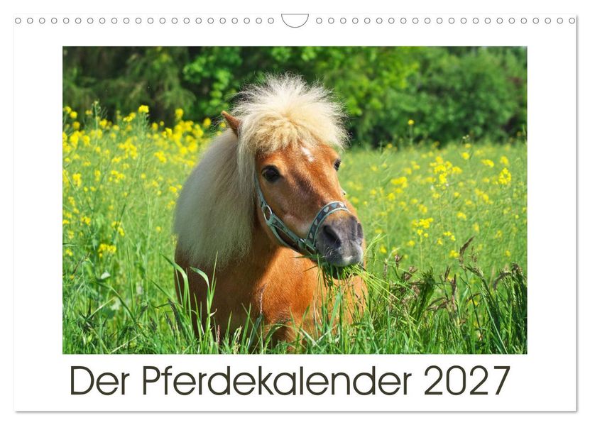 Der Pferdekalender (Wandkalender 2027 DIN A3 quer) CALVENDO Monatskalender