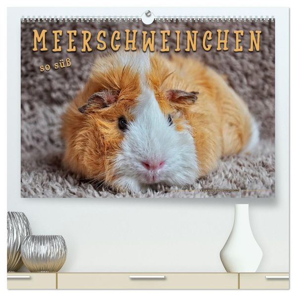 Meerschweinchen - so süß (hochwertiger Premium Wandkalender 2027 DIN A2 quer) Kunstdruck in Hochglanz