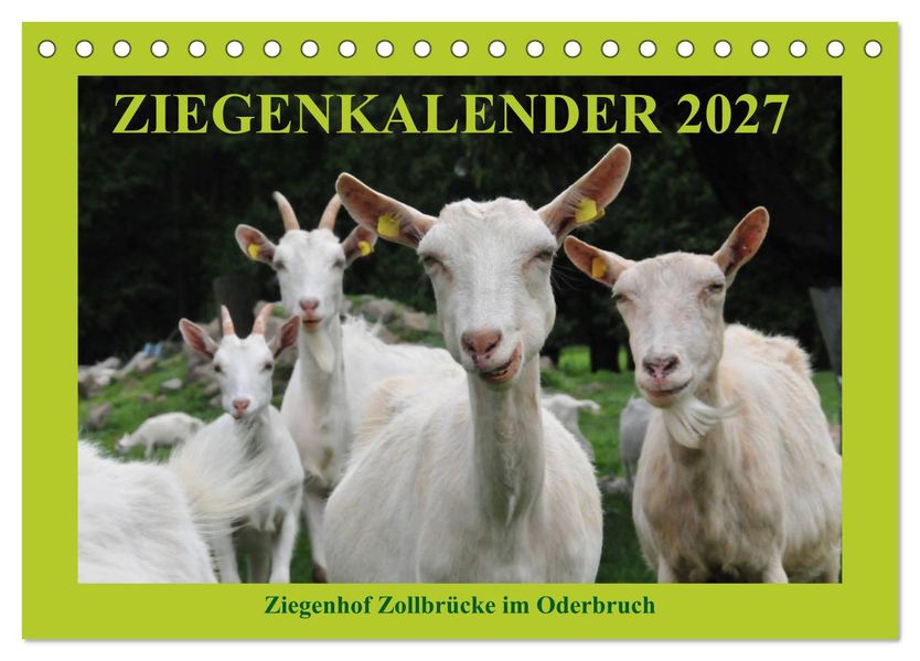 Ziegenkalender 2027 (Tischkalender 2027 DIN A5 quer) CALVENDO Monatskalender
