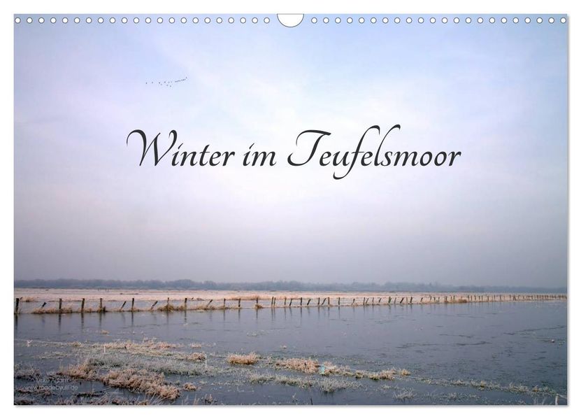 Winter im Teufelsmoor (Wandkalender 2027 DIN A3 quer) CALVENDO Monatskalender