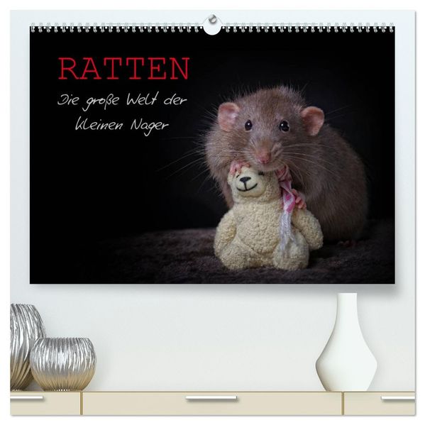Ratten. Die große Welt der kleinen Nager (hochwertiger Premium Wandkalender 2027 DIN A2 quer) Kunstdruck in Hochglanz