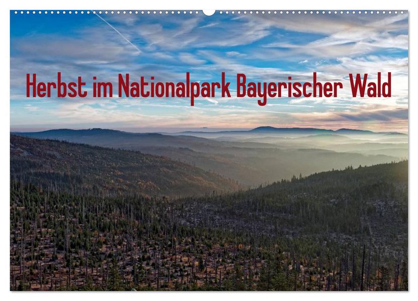 Herbst im Nationalpark Bayerischer Wald (Wandkalender 2027 DIN A2 quer) CALVENDO Monatskalender