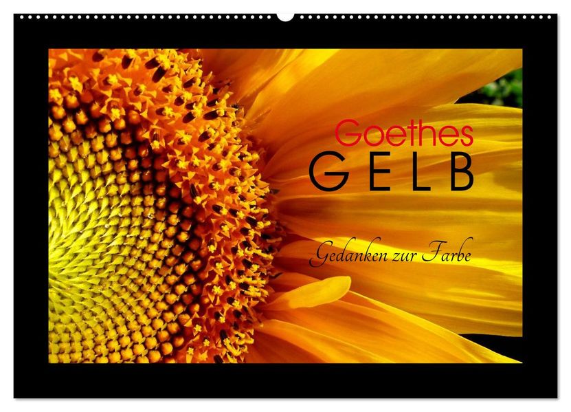 Goethes Gelb Gedanken zur Farbe (Wandkalender 2027 DIN A2 quer) CALVENDO Monatskalender