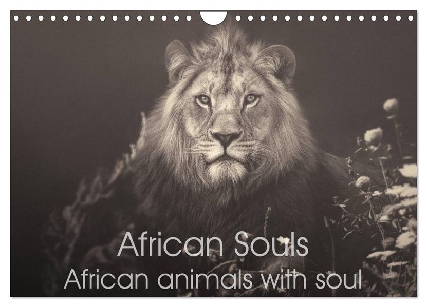 African Souls African animals with soul (Wall Calendar 2027 DIN A4 landscape) CALVENDO 12 Month Wall Calendar