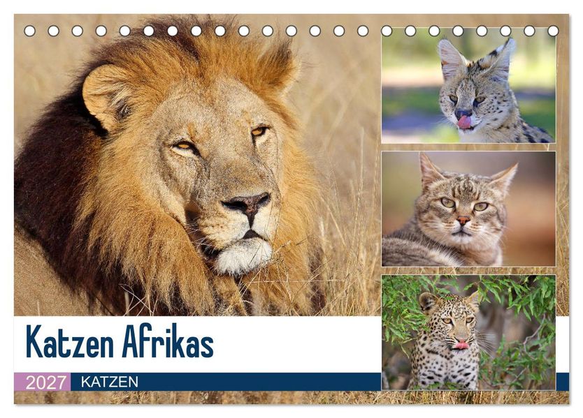 Katzen Afrikas (Tischkalender 2027 DIN A5 quer) CALVENDO Monatskalender