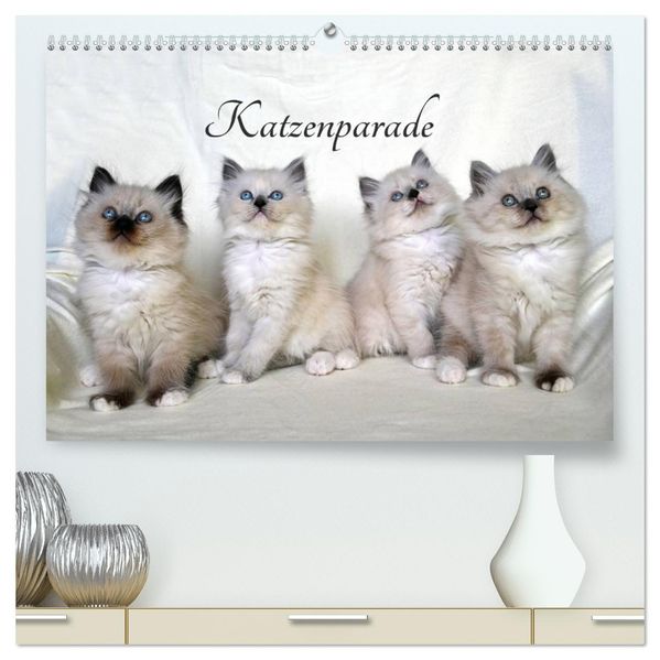 Katzenparade (hochwertiger Premium Wandkalender 2027 DIN A2 quer) Kunstdruck in Hochglanz