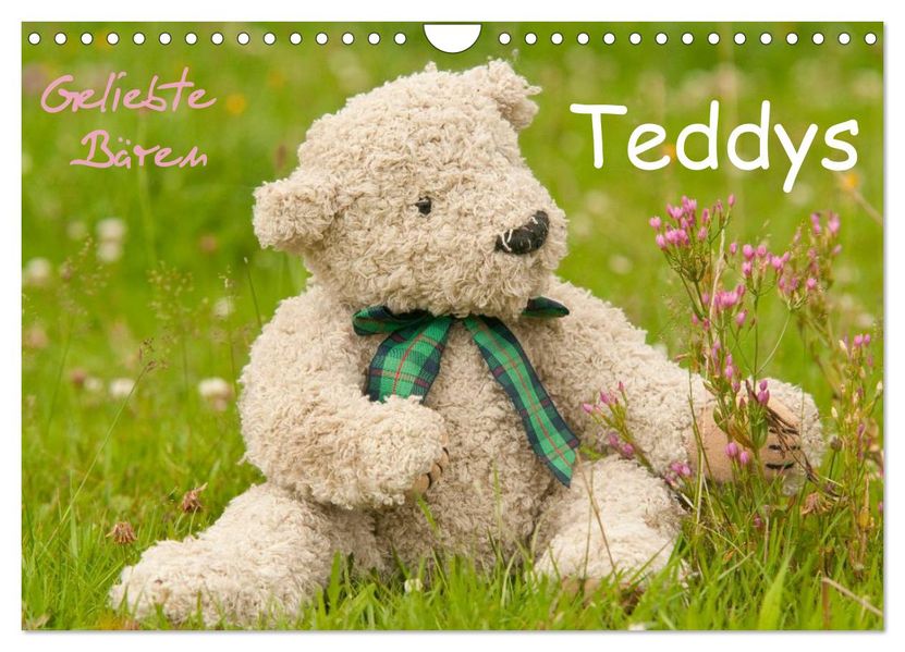 Geliebte Bären - Teddys (Wandkalender 2027 DIN A4 quer) CALVENDO Monatskalender
