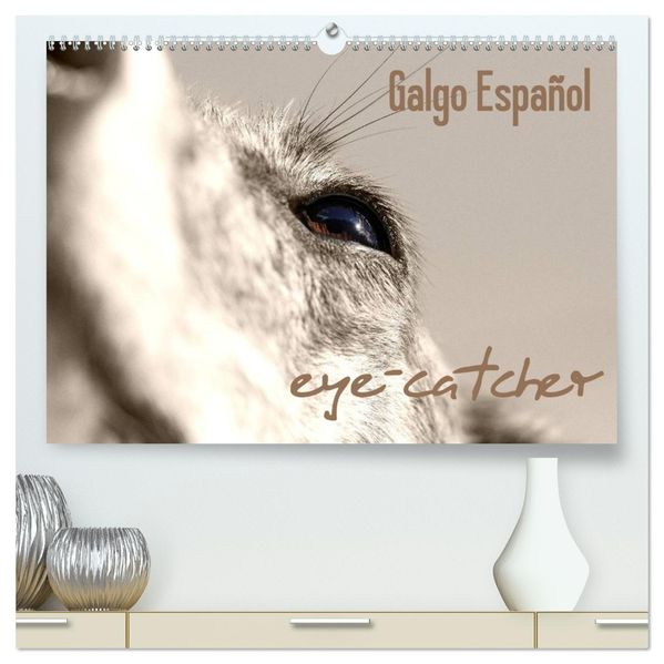 Galgo eye-catcher (hochwertiger Premium Wandkalender 2027 DIN A2 quer) Kunstdruck in Hochglanz