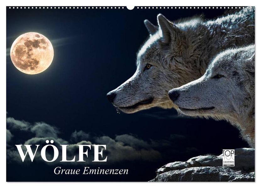 Wölfe. Graue Eminenzen (Wandkalender 2027 DIN A2 quer) CALVENDO Monatskalender