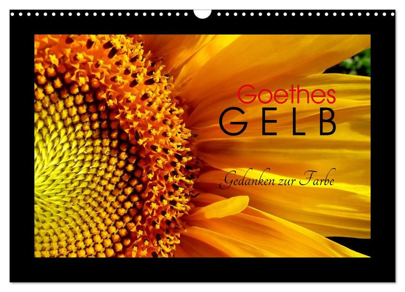 Goethes Gelb Gedanken zur Farbe (Wandkalender 2027 DIN A3 quer) CALVENDO Monatskalender