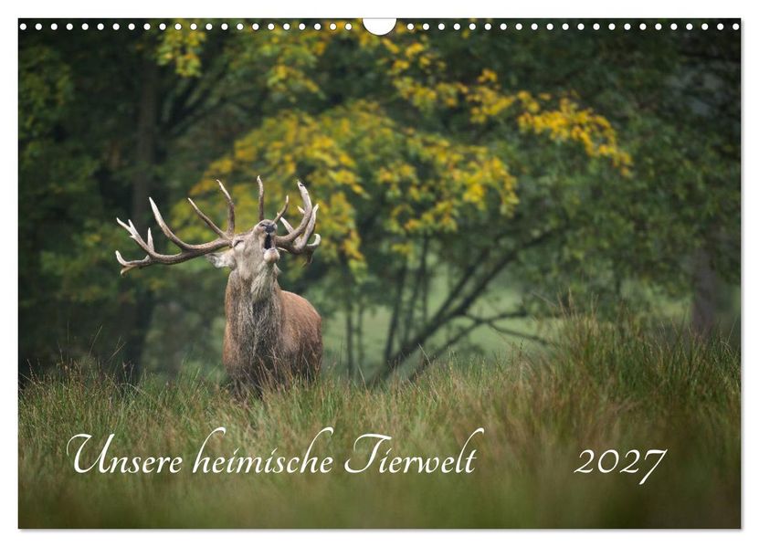 Unsere heimische Tierwelt (Wandkalender 2027 DIN A3 quer) CALVENDO Monatskalender