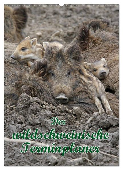Der wildschweinische Terminplaner (Wandkalender 2027 DIN A2 hoch) CALVENDO Monatskalender