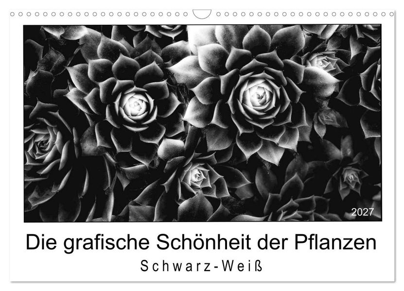 Die grafische Schönheit der Pflanzen - Schwarz-Weiß (Wandkalender 2027 DIN A3 quer) CALVENDO Monatskalender
