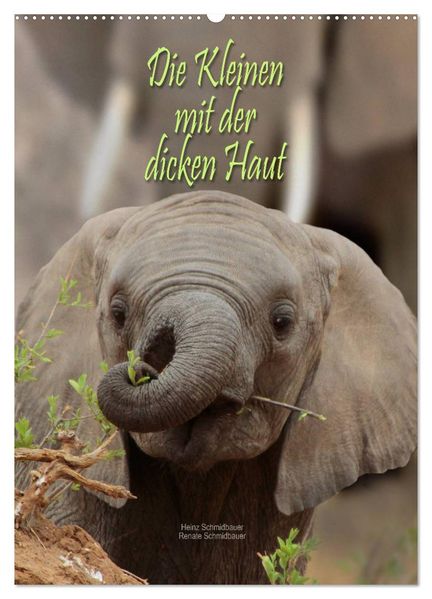 Die Kleinen mit der dicken Haut (Wandkalender 2027 DIN A2 hoch) CALVENDO Monatskalender