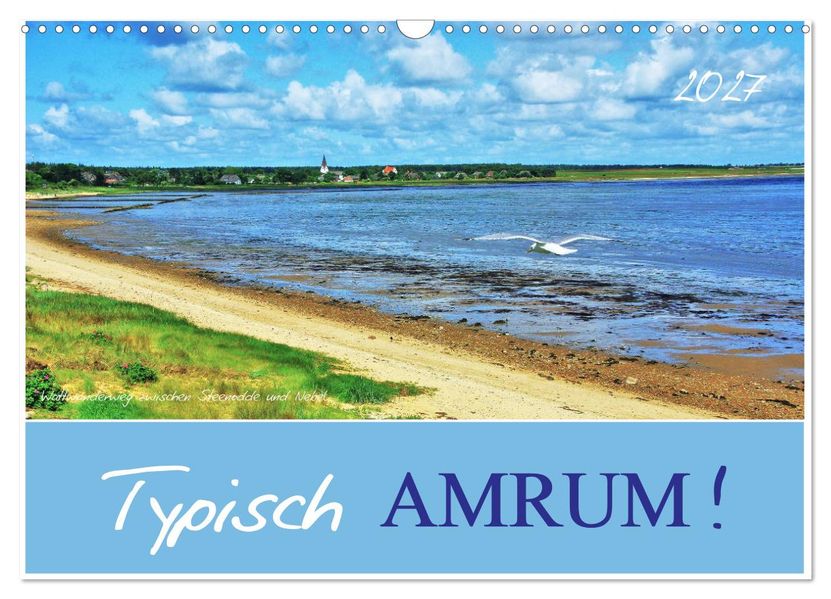 Typisch Amrum! (Wandkalender 2027 DIN A3 quer) CALVENDO Monatskalender