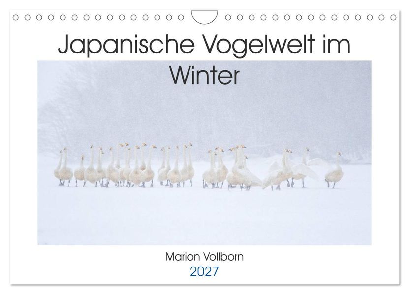 Japanische Vogelwelt im Winter (Wandkalender 2027 DIN A4 quer) CALVENDO Monatskalender