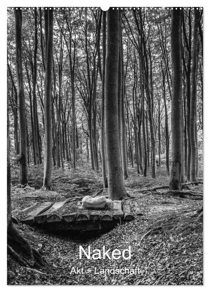 Naked: Akt + Landschaft (Wandkalender 2027 DIN A2 hoch) CALVENDO Monatskalender