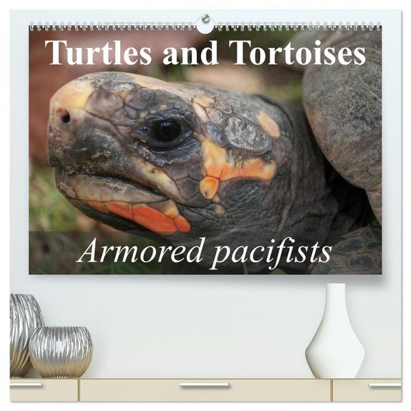 Turtles and Tortoises - Armored pacifists (High Quality Premium Wall Calendar 2027 DIN A2 landscape)CALVENDO 12 Month Wall Calendar